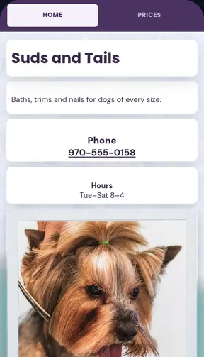 The Suds and Tails template on a phone
